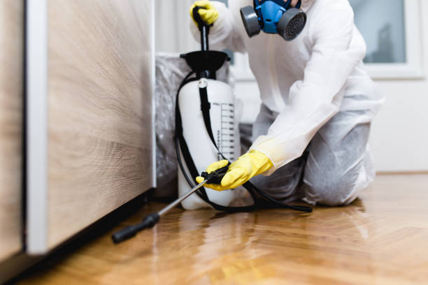 Plantation, FL Pest Control Company