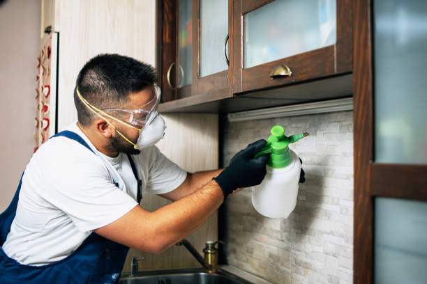 Best Cockroach Control Services  in Plantation, FL