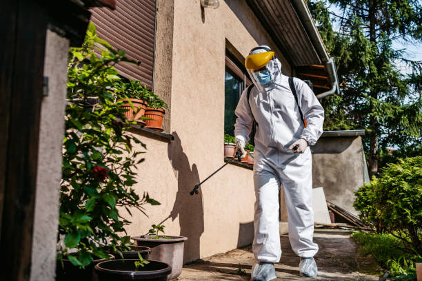 Spider Control Near Me in Plantation, FL