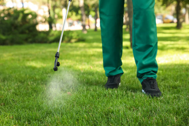 Best Mosquito Control Services  in Plantation, FL