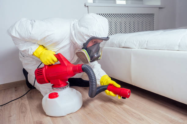 Best Termite Control Services  in Plantation, FL