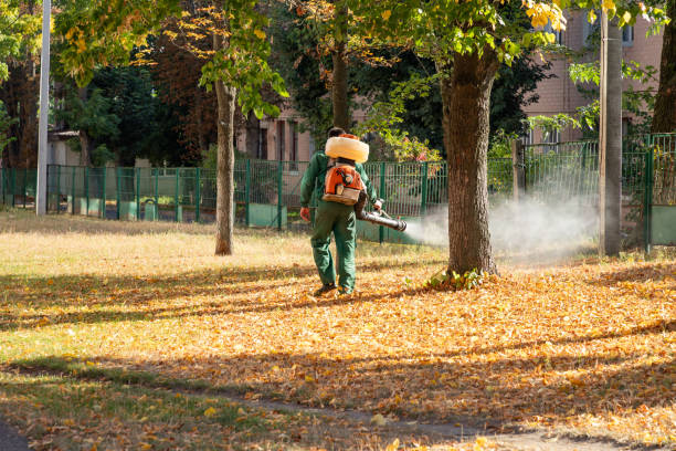 Pest Control Cost in Plantation, FL