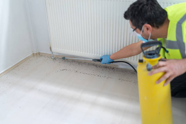 Plantation, FL Pest Control Company